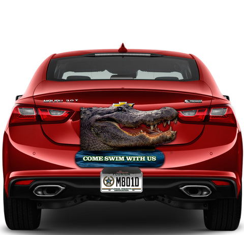 Image of Alligator "Come Swim with me"