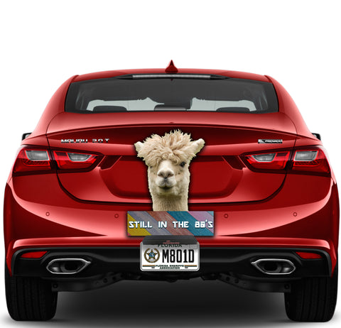 Image of Alpaca-Stuck in the 80s