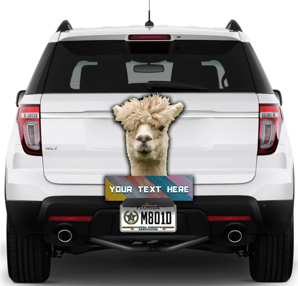 Alpaca-Stuck in the 80s