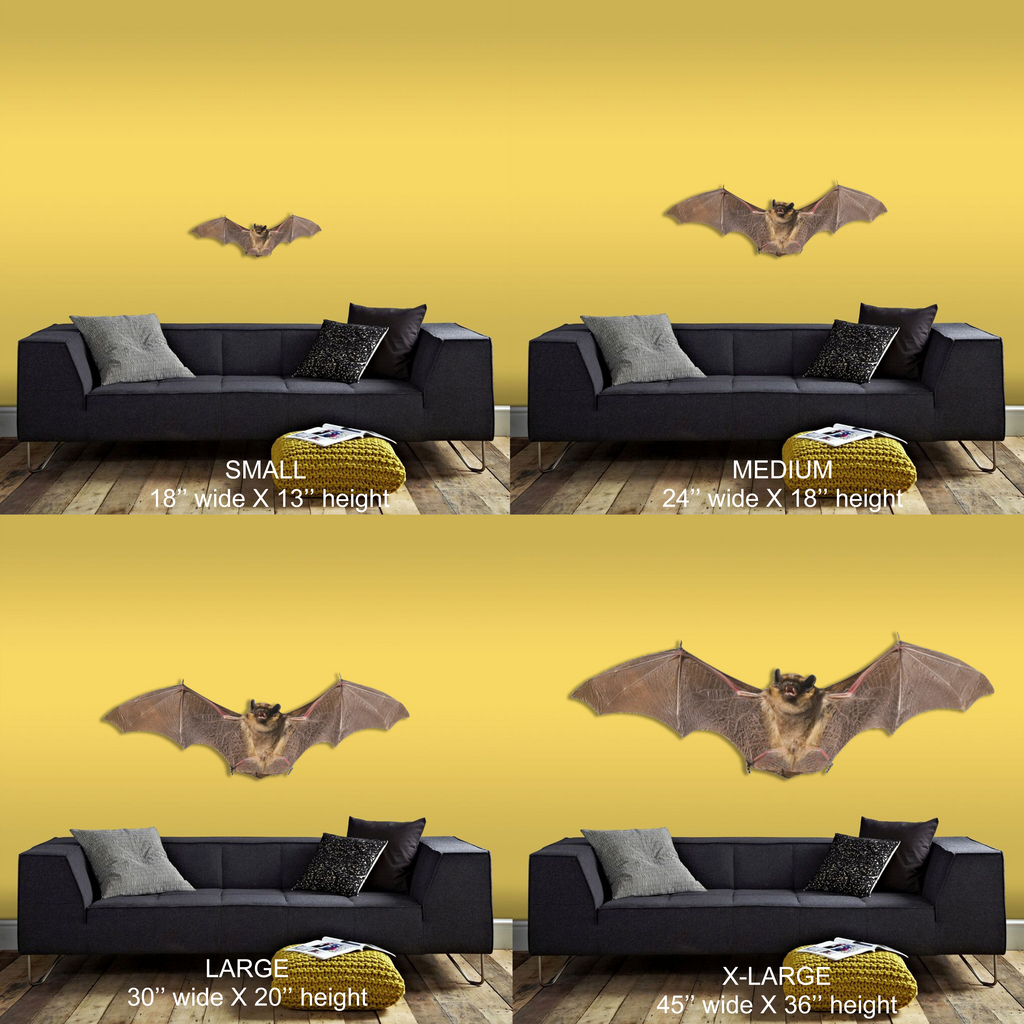 Bat Corona