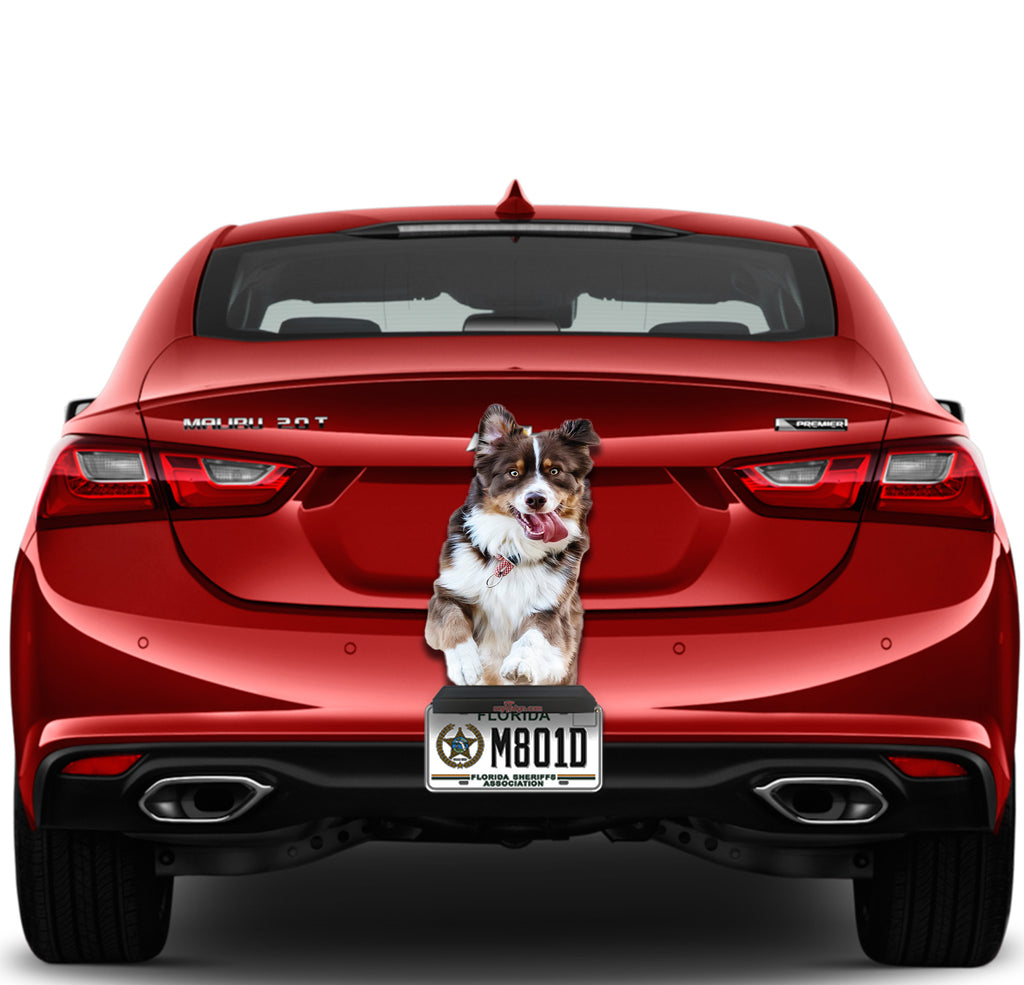 Cute Dog