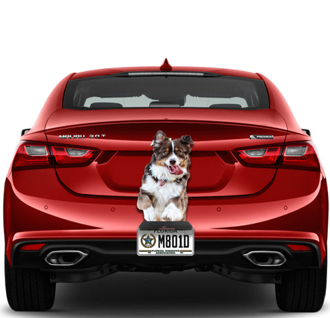 Image of Cute Dog