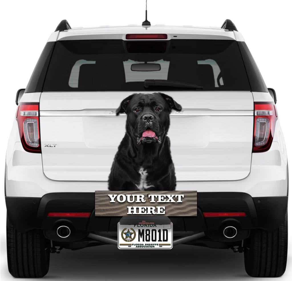 Black Dog