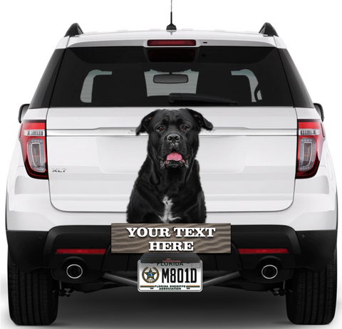 Image of Black Dog