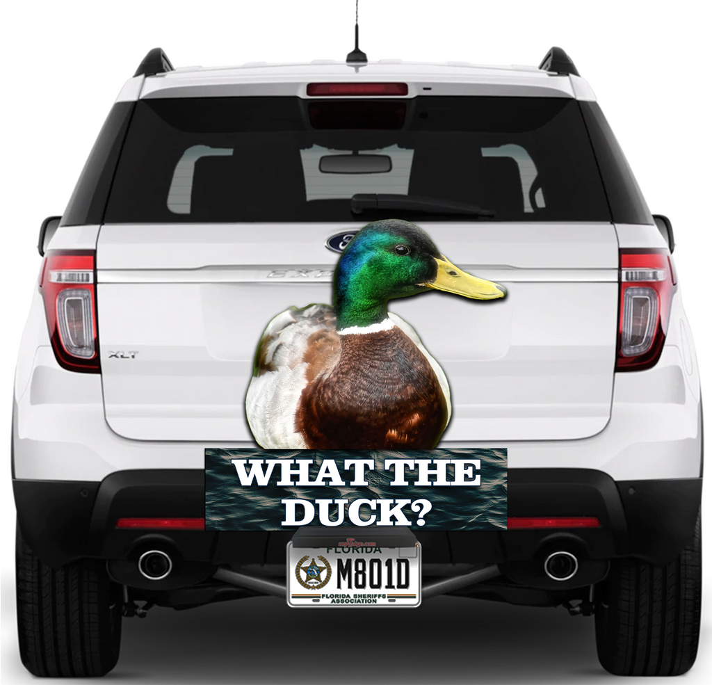 What the Duck