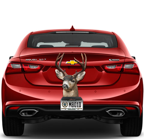 Image of Deer Face
