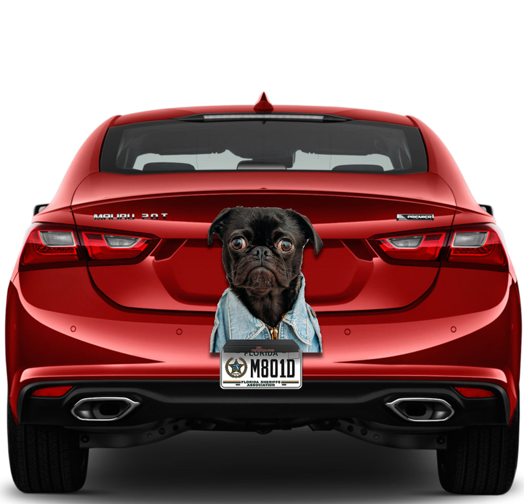 Funny Dog