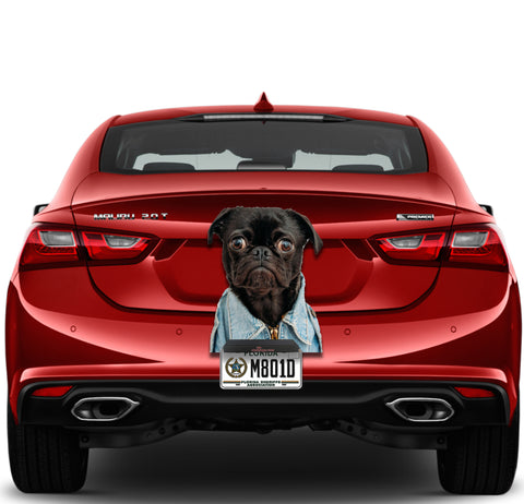 Image of Funny Dog