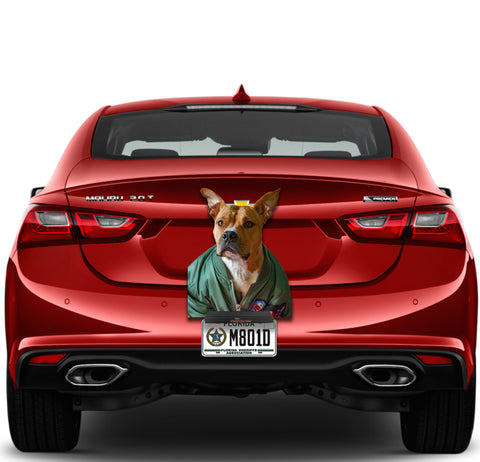 Image of Dog Funny Face