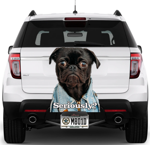 Image of Funny Dog