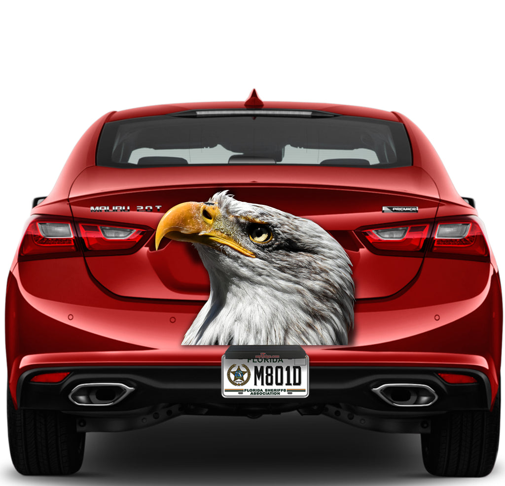 Eagle Sideview