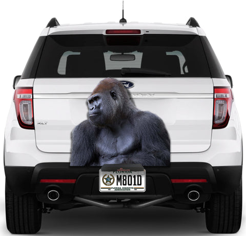 Image of Gorilla