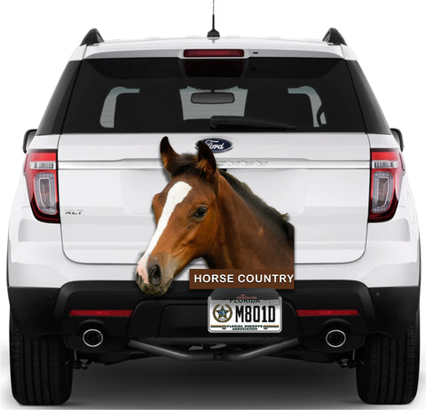 Image of Horse Country