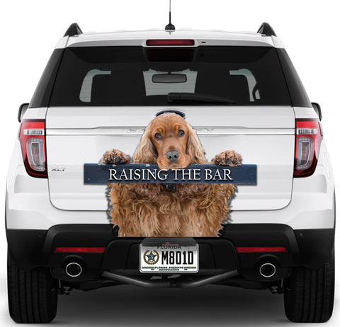Image of Cocker Spaniel Raising The Bar