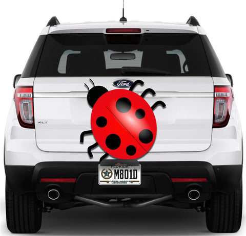 Image of Lady Bug