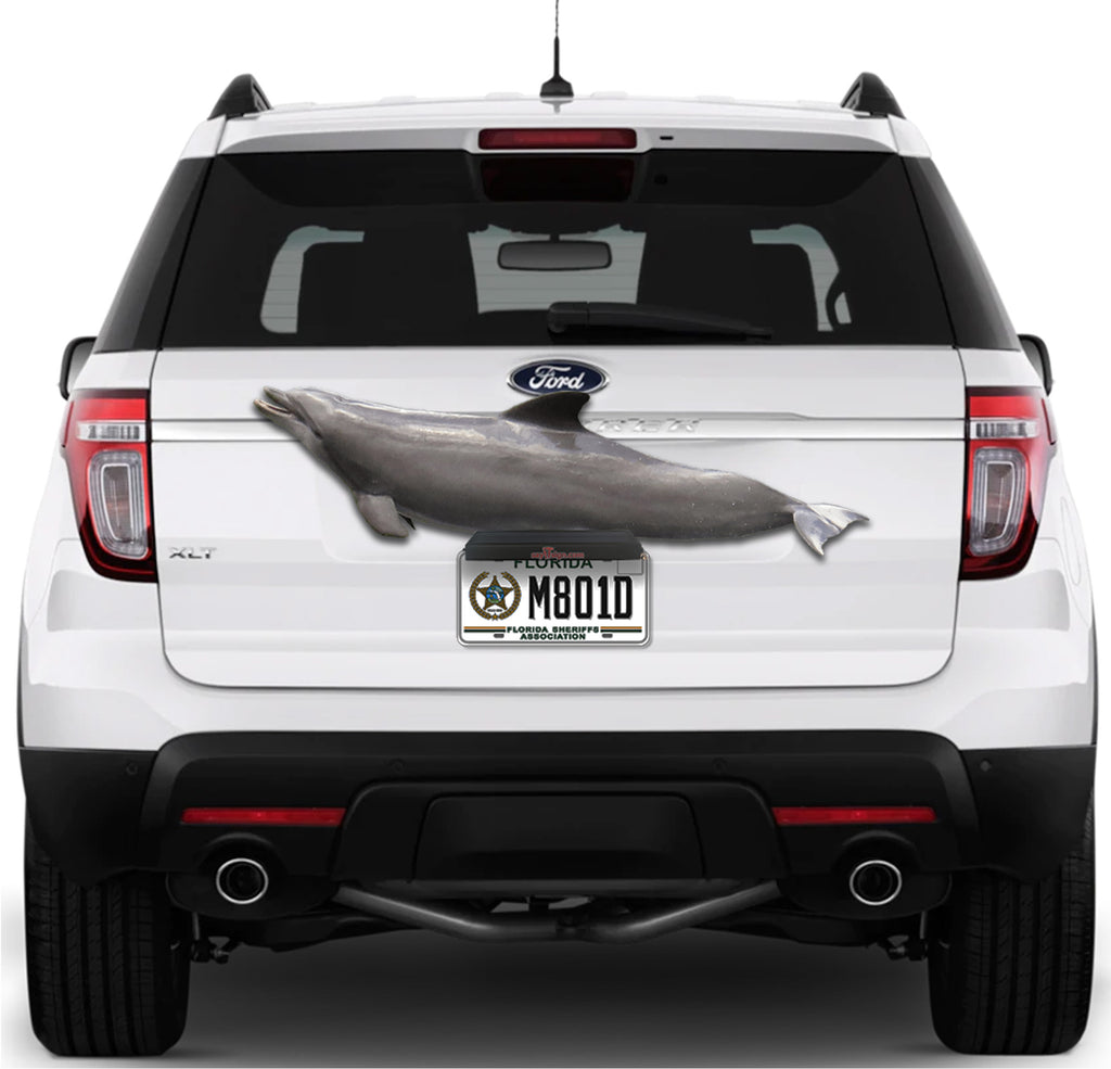 Porpoise Support