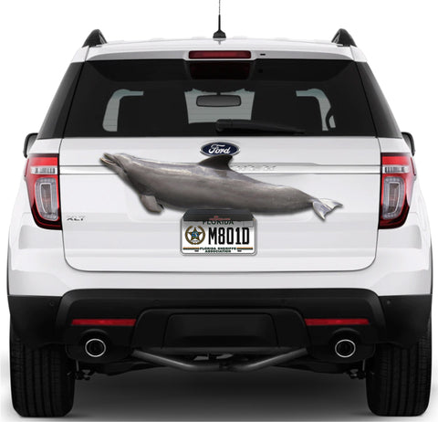 Image of Porpoise Support