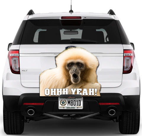 Image of Monkey OHHH Yeah