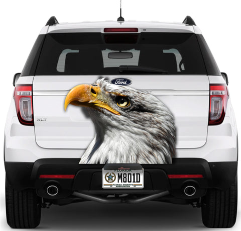 Image of Eagle Sideview