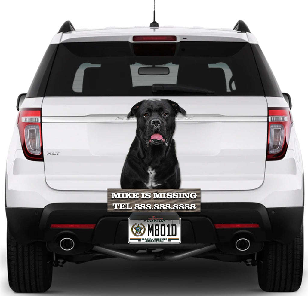 Black Dog