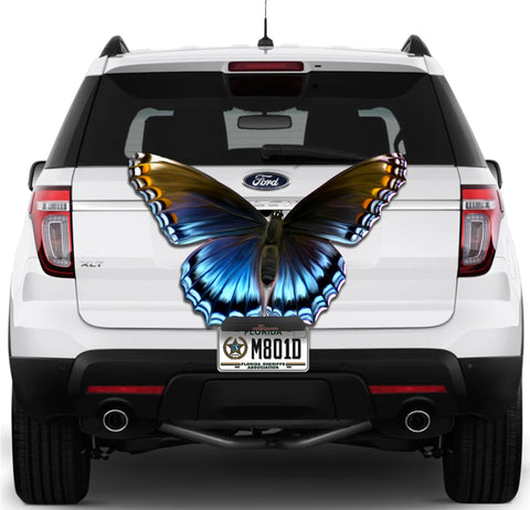 Image of Butterfly