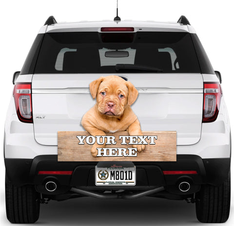 Image of Dog Let me Out