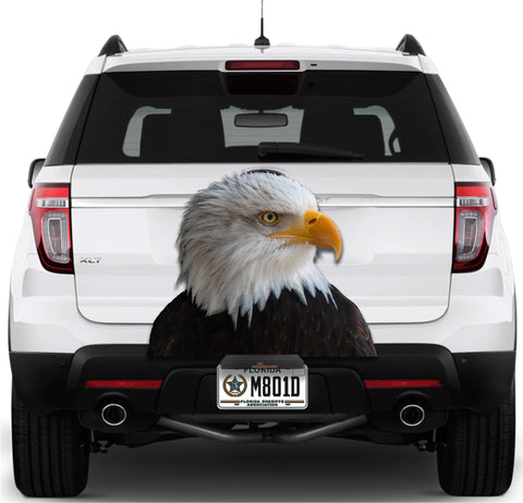 Image of Eagle