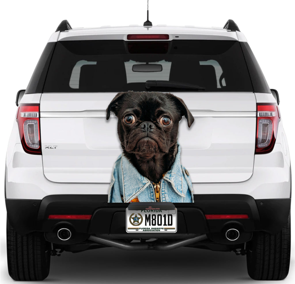 Funny Dog