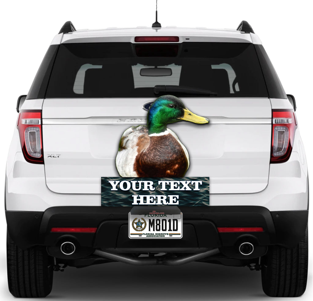 What the Duck