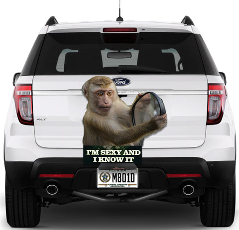 Image of Monkey "I'm sexy and I know it"