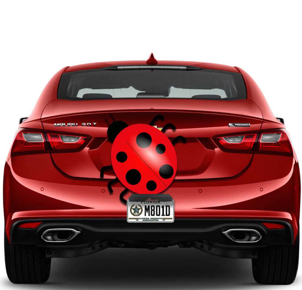 Lady Bug