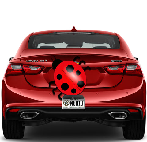 Image of Lady Bug