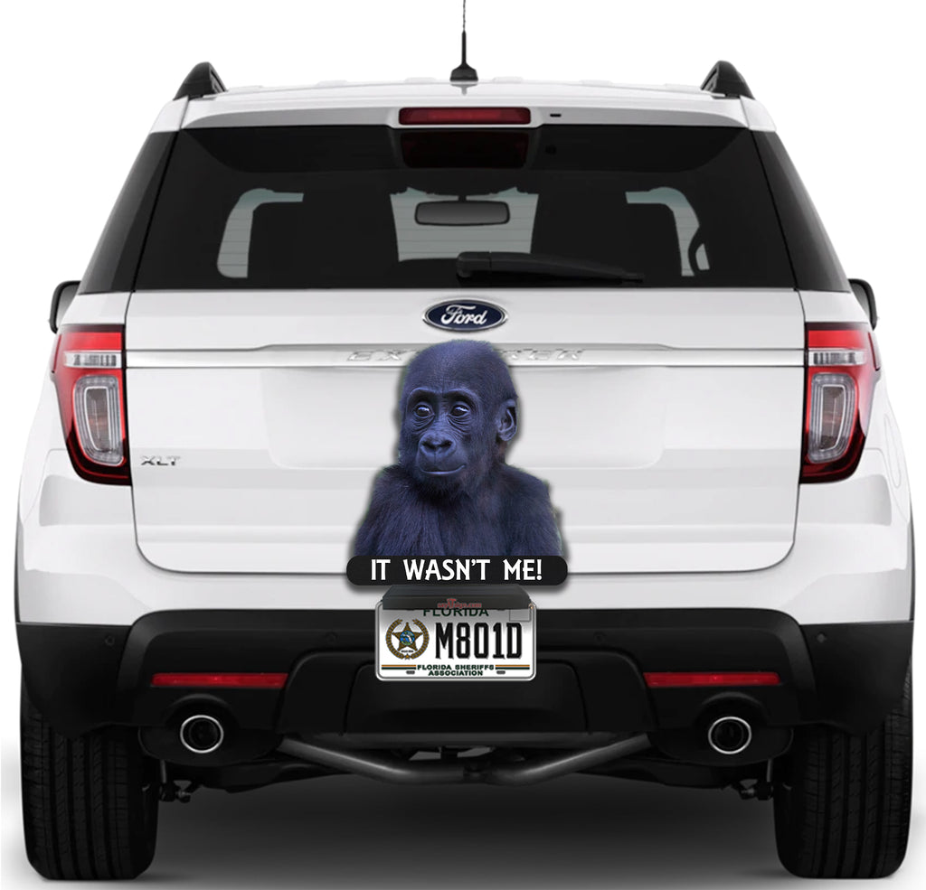 Baby Gorilla It Wasn't Me