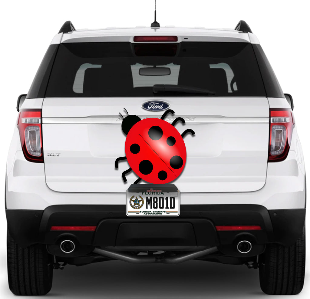 Lady Bug