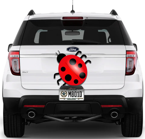 Image of Lady Bug