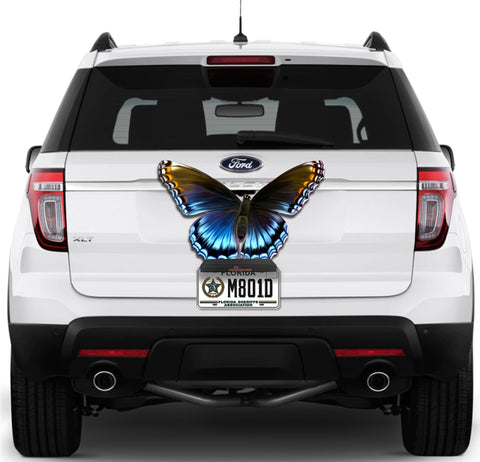 Image of Butterfly
