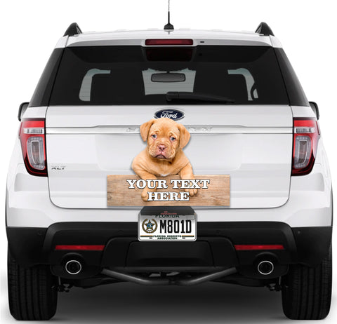Image of Dog Let me Out