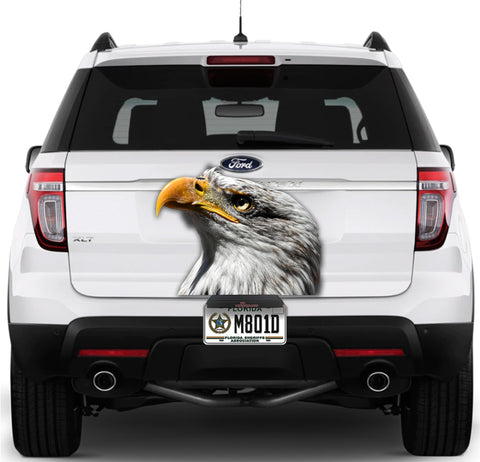Image of Eagle Sideview