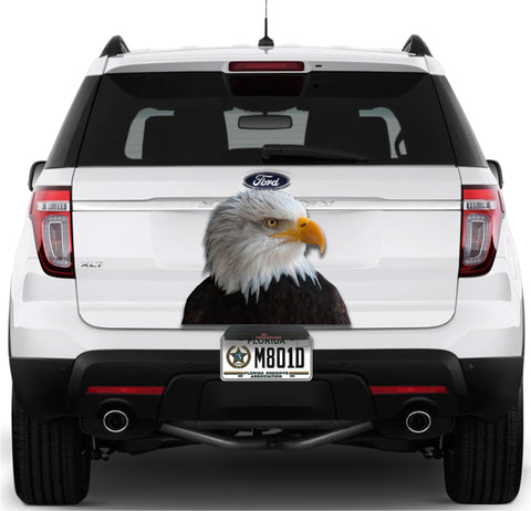 Image of Eagle