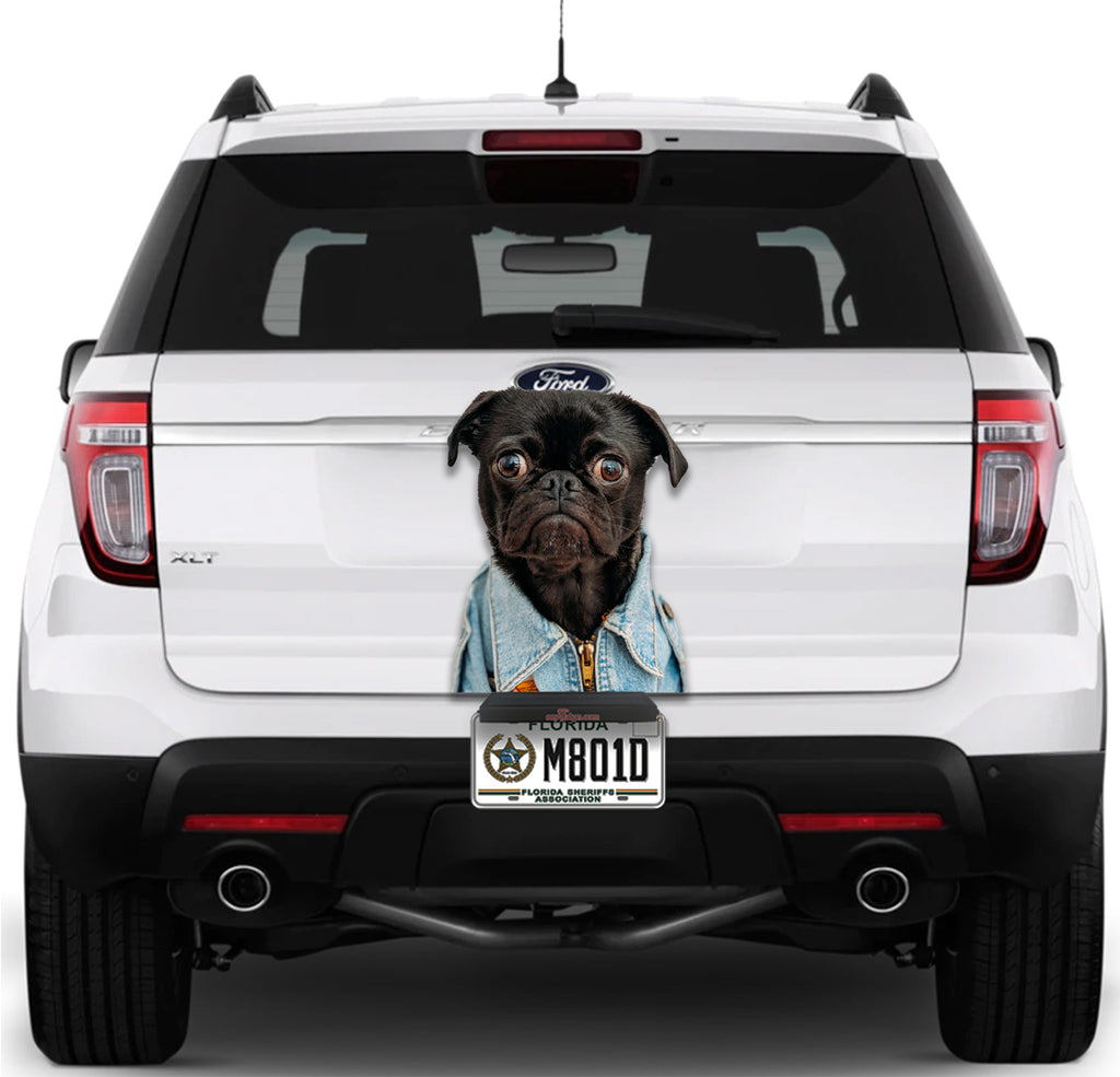 Funny Dog