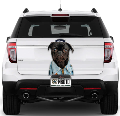 Image of Funny Dog