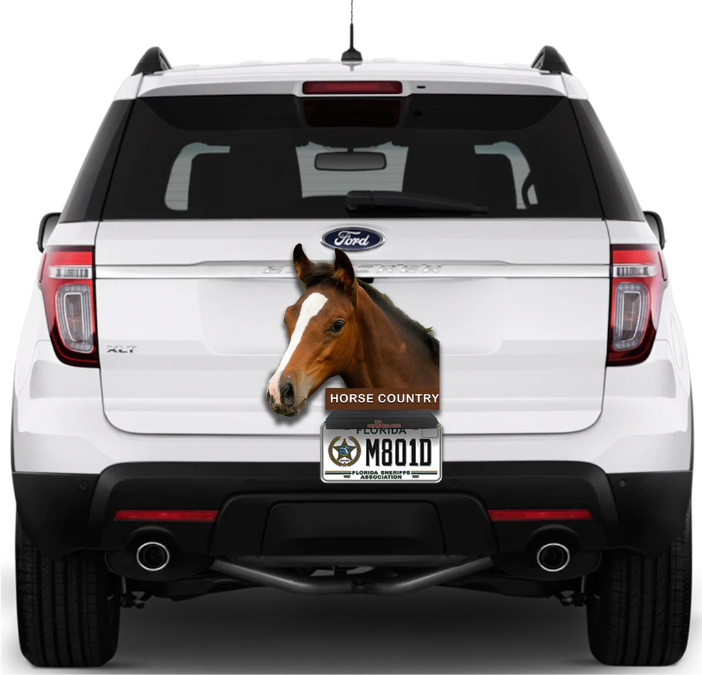 Horse Country