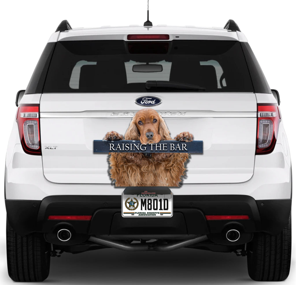 Cocker Spaniel Raising The Bar