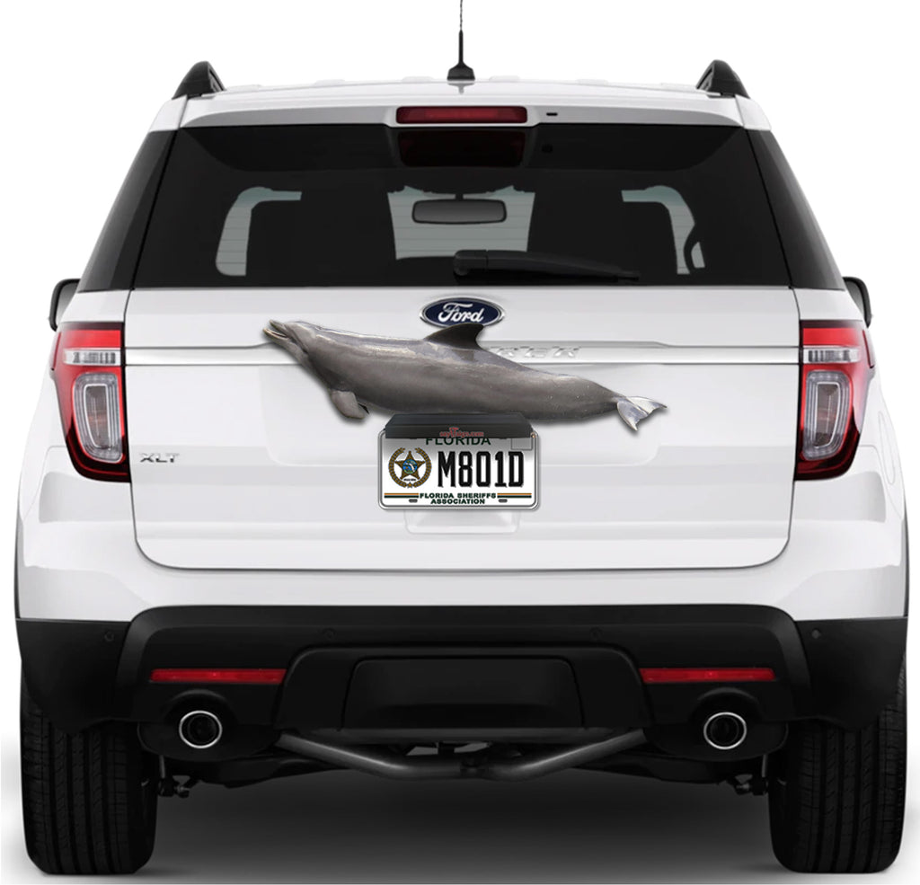 Porpoise Support