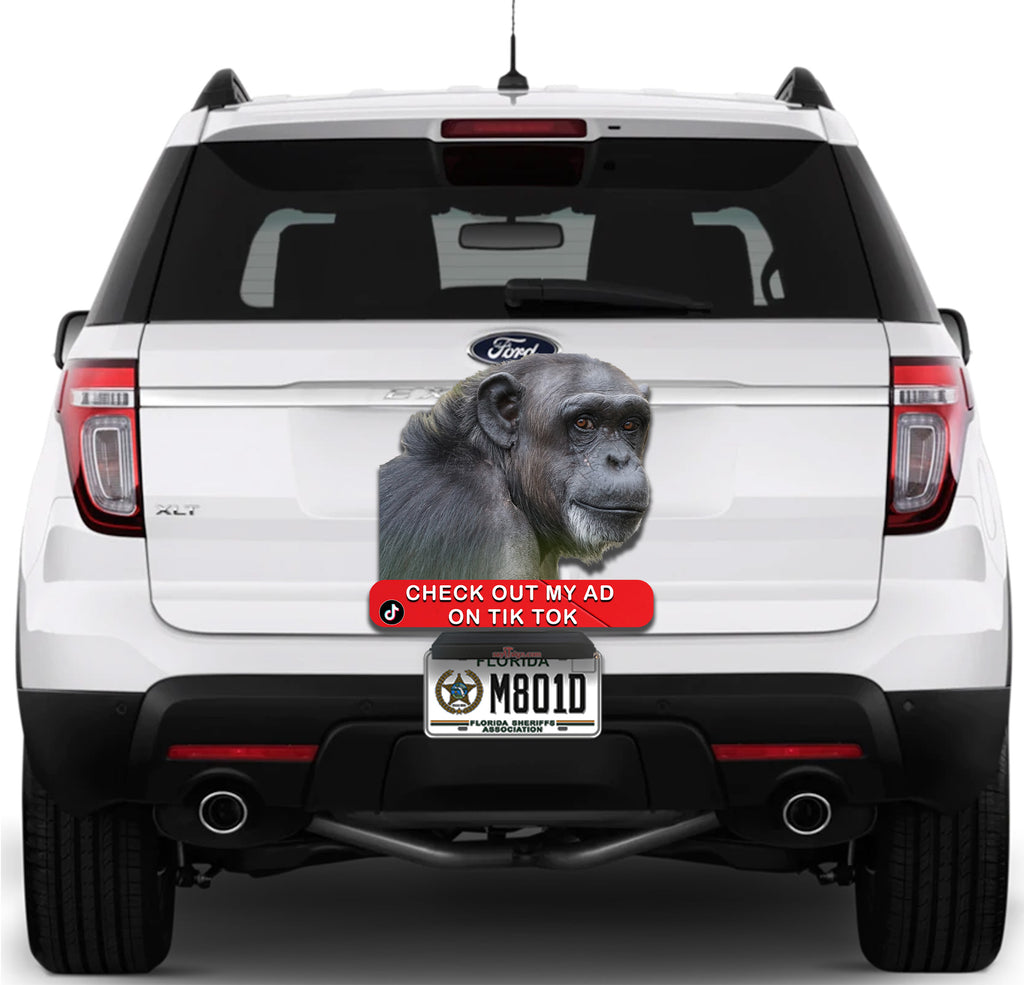 Check me out Ape
