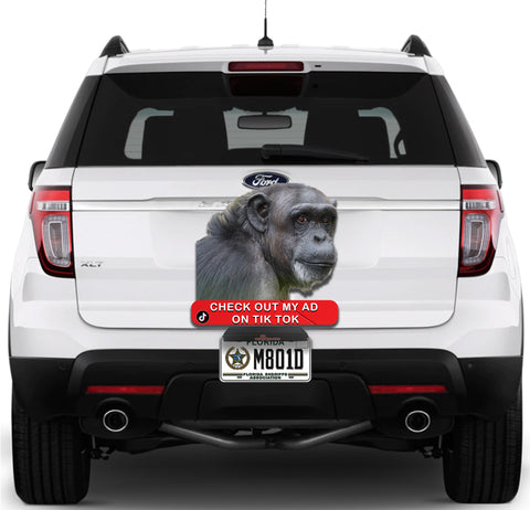 Image of Check me out Ape