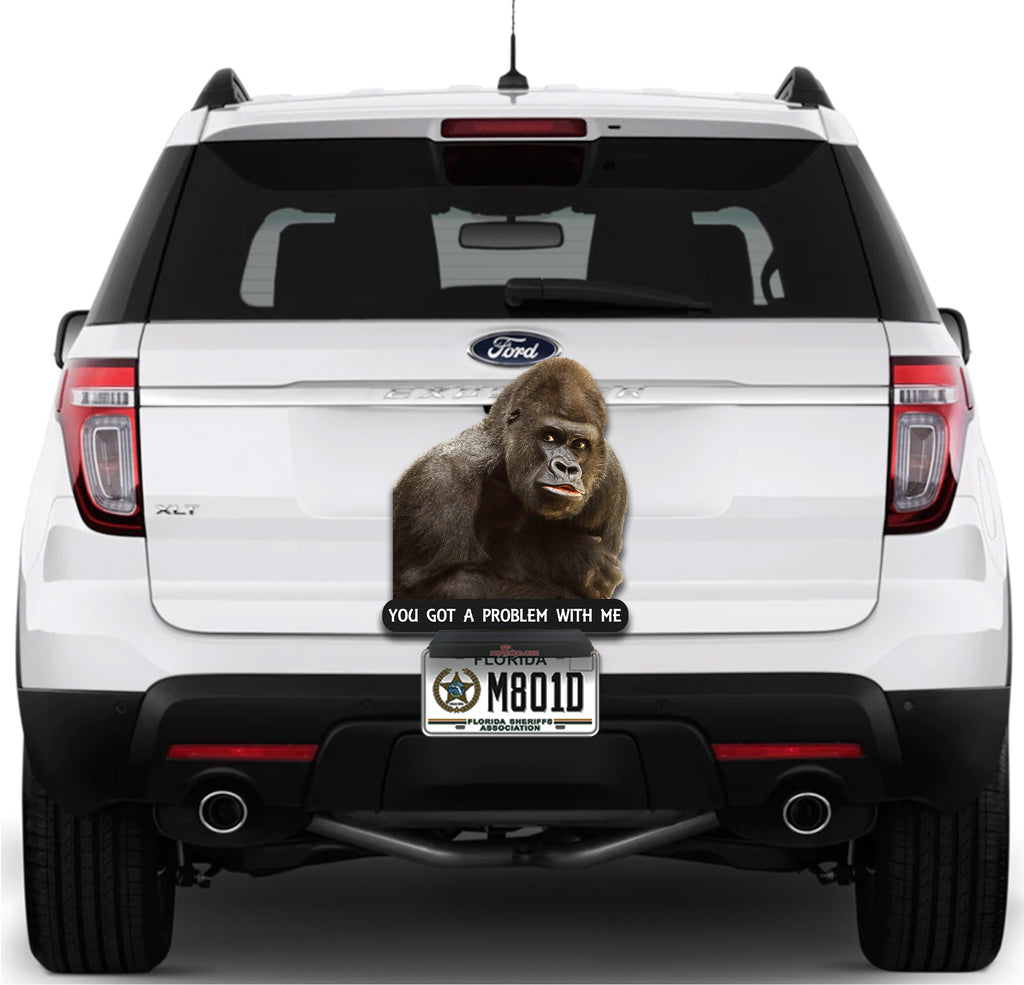 Mean Old Gorilla You Got a Problem