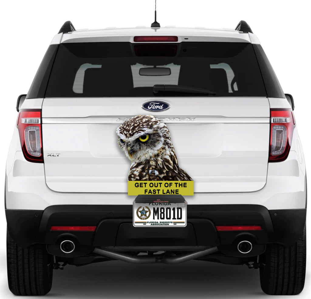 Owl "Stay out of the fast lane"