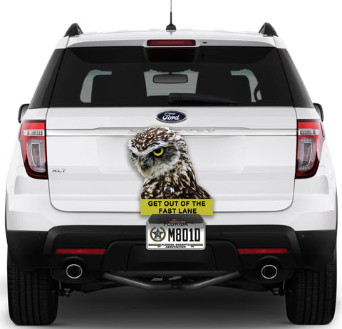 Image of Owl "Stay out of the fast lane"