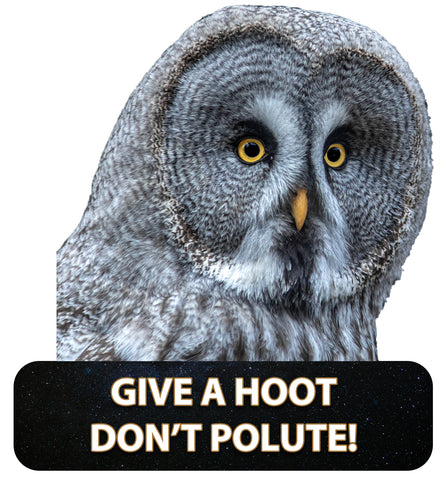 Image of Owl "Give a Hoot Don't Pollute"